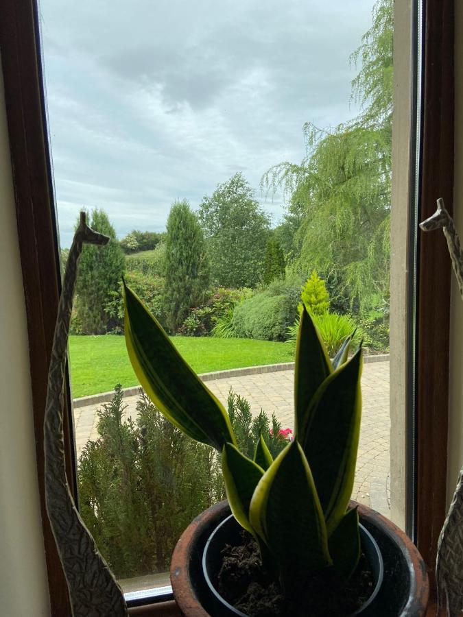 Corness House B&B Monaghan Extérieur photo